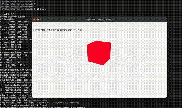 Hello Cube 3D Raylib Golang Example Screenshot